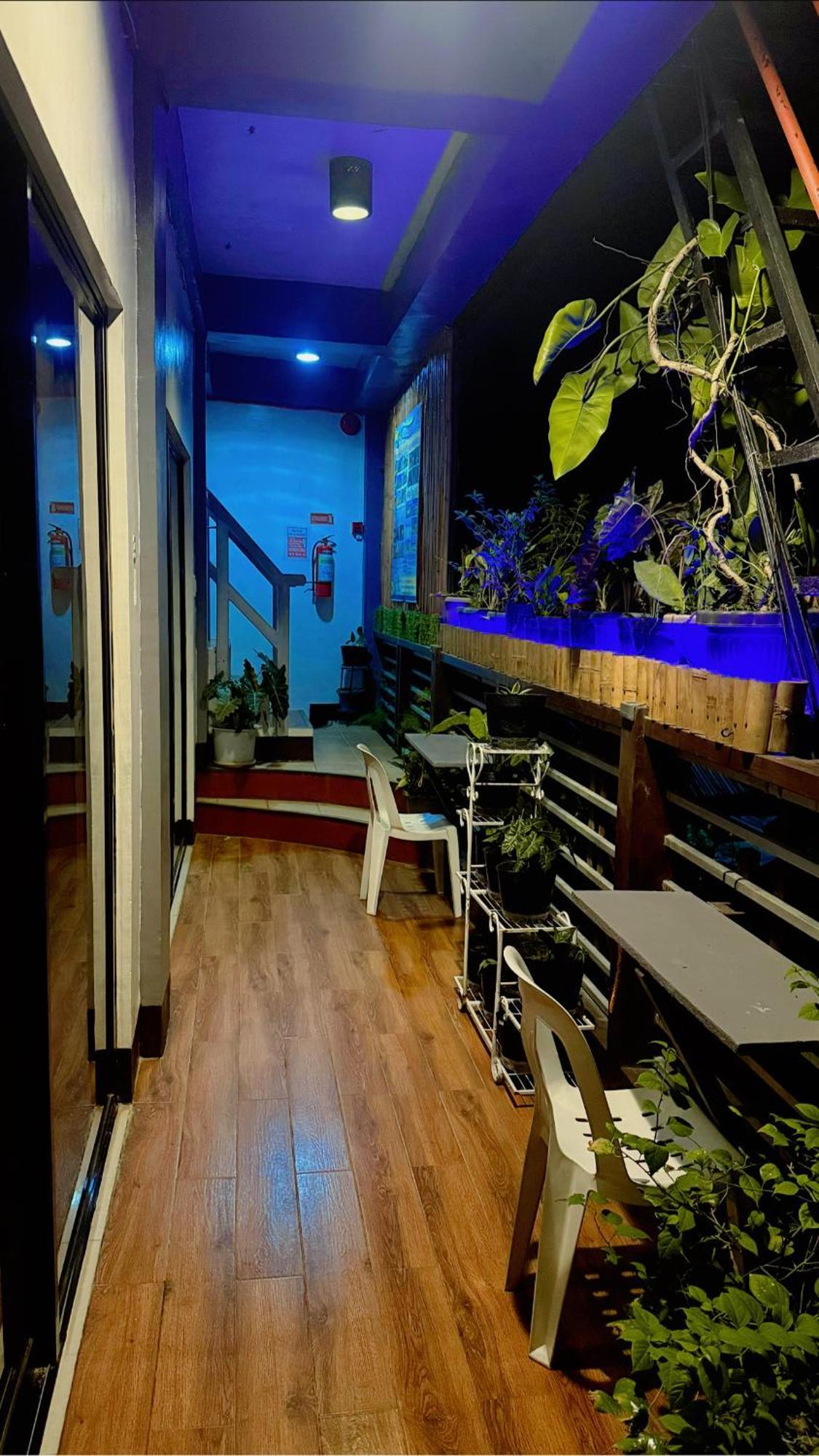Lolo Bob'S Bed And Breakfast El Nido Εξωτερικό φωτογραφία
